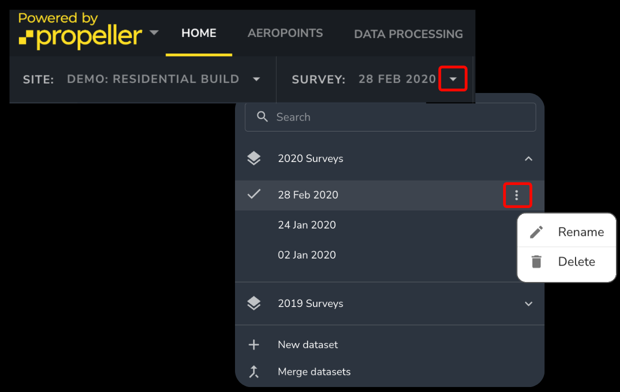 Delete Survey Dataset.png