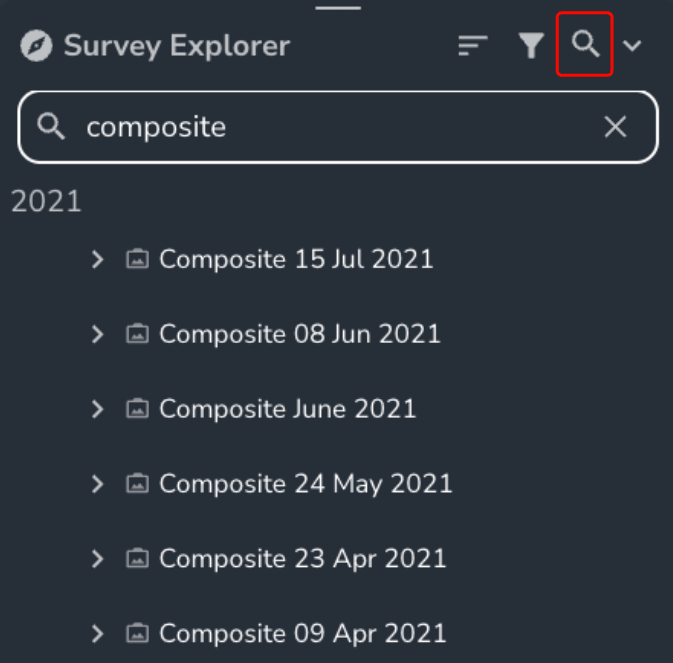 Search Survey Explorer.png