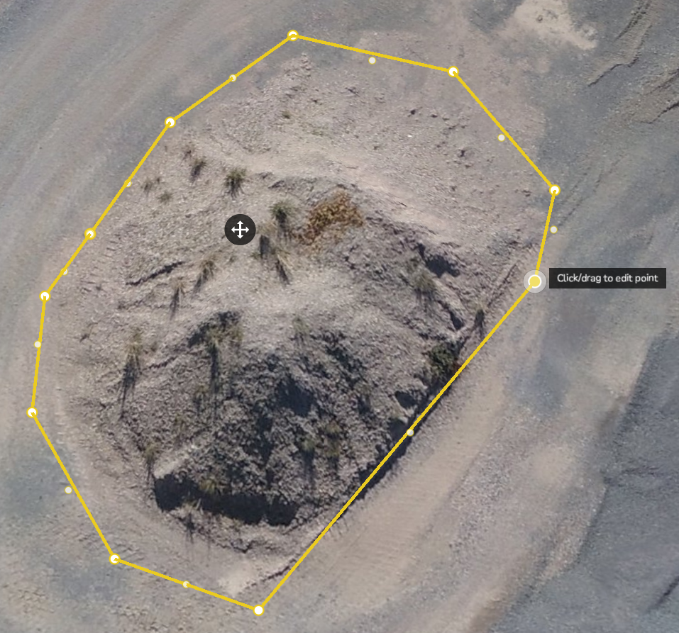 Edit Polygon Point.png