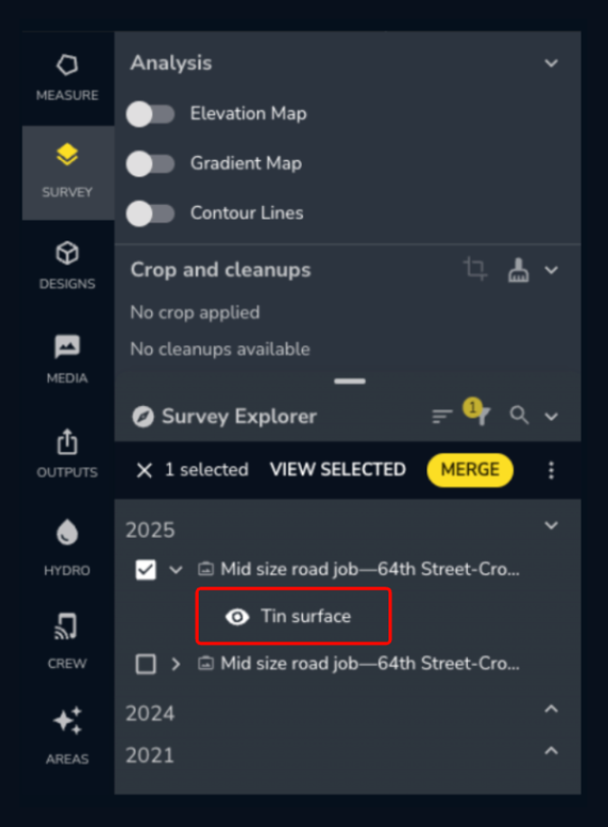 TIN Surface in Survey Explorer.png