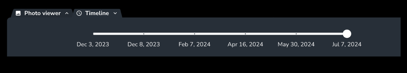 Timeline Tab with Dates.png
